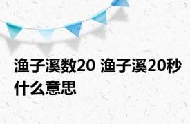 渔子溪数20 渔子溪20秒什么意思