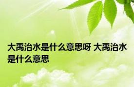 大禹治水是什么意思呀 大禹治水是什么意思