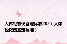 人体轻微伤鉴定标准202（人体轻微伤鉴定标准）