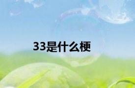 33是什么梗