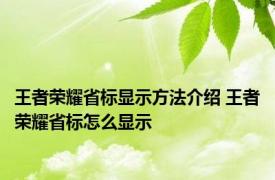 王者荣耀省标显示方法介绍 王者荣耀省标怎么显示