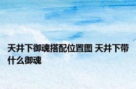 天井下御魂搭配位置图 天井下带什么御魂