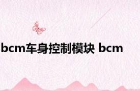 bcm车身控制模块 bcm 