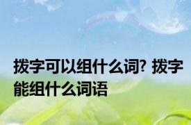 拨字可以组什么词? 拨字能组什么词语