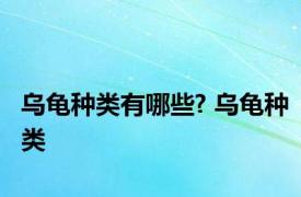 乌龟种类有哪些? 乌龟种类