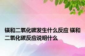 镁和二氧化碳发生什么反应 镁和二氧化碳反应说明什么