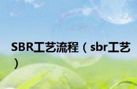 SBR工艺流程（sbr工艺）