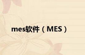 mes软件（MES）