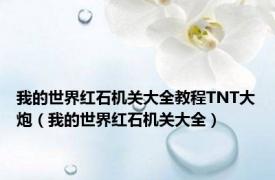 我的世界红石机关大全教程TNT大炮（我的世界红石机关大全）