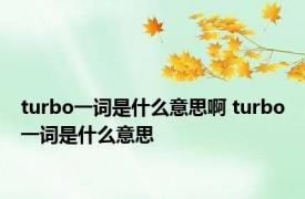 turbo一词是什么意思啊 turbo一词是什么意思