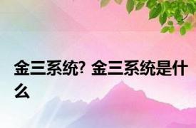 金三系统? 金三系统是什么