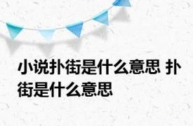 小说扑街是什么意思 扑街是什么意思