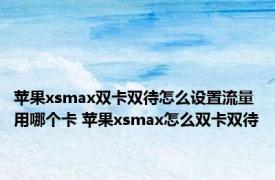 苹果xsmax双卡双待怎么设置流量用哪个卡 苹果xsmax怎么双卡双待