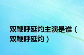 双鞭呼延灼主演是谁（双鞭呼延灼）