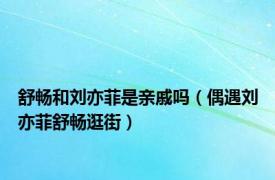 舒畅和刘亦菲是亲戚吗（偶遇刘亦菲舒畅逛街）