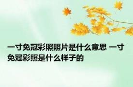 一寸免冠彩照照片是什么意思 一寸免冠彩照是什么样子的