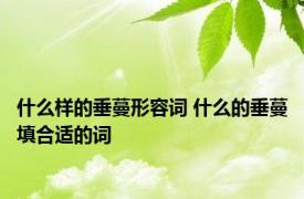 什么样的垂蔓形容词 什么的垂蔓填合适的词 