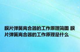 膜片弹簧离合器的工作原理简图 膜片弹簧离合器的工作原理是什么