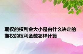 期权的权利金大小是由什么决定的 期权的权利金数怎样计算