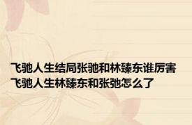 飞驰人生结局张驰和林臻东谁厉害 飞驰人生林臻东和张弛怎么了