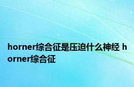 horner综合征是压迫什么神经 horner综合征 