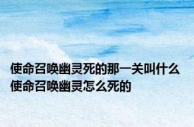 使命召唤幽灵死的那一关叫什么 使命召唤幽灵怎么死的