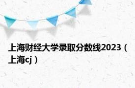 上海财经大学录取分数线2023（上海cj）