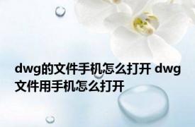 dwg的文件手机怎么打开 dwg文件用手机怎么打开