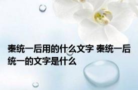 秦统一后用的什么文字 秦统一后统一的文字是什么