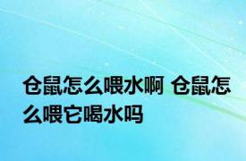 仓鼠怎么喂水啊 仓鼠怎么喂它喝水吗