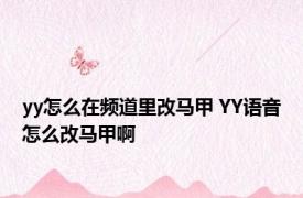 yy怎么在频道里改马甲 YY语音怎么改马甲啊