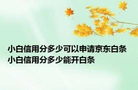 小白信用分多少可以申请京东白条 小白信用分多少能开白条