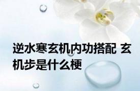 逆水寒玄机内功搭配 玄机步是什么梗