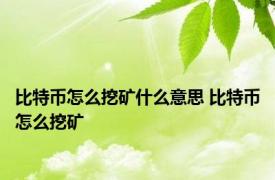 比特币怎么挖矿什么意思 比特币怎么挖矿