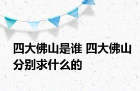 四大佛山是谁 四大佛山分别求什么的