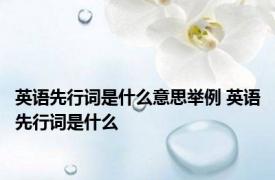 英语先行词是什么意思举例 英语先行词是什么