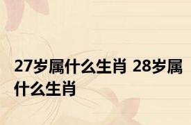 27岁属什么生肖 28岁属什么生肖 