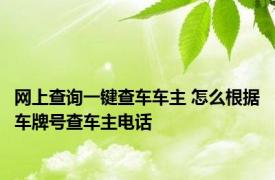 网上查询一键查车车主 怎么根据车牌号查车主电话