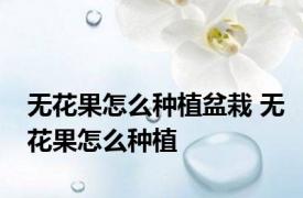 无花果怎么种植盆栽 无花果怎么种植