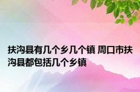 扶沟县有几个乡几个镇 周口市扶沟县都包括几个乡镇