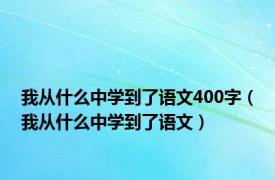 我从什么中学到了语文400字（我从什么中学到了语文）