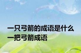 一只弓箭的成语是什么 一把弓箭成语