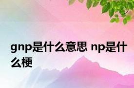 gnp是什么意思 np是什么梗