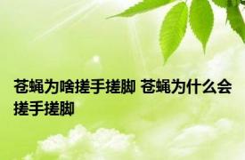 苍蝇为啥搓手搓脚 苍蝇为什么会搓手搓脚