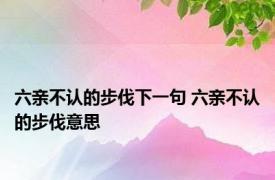 六亲不认的步伐下一句 六亲不认的步伐意思