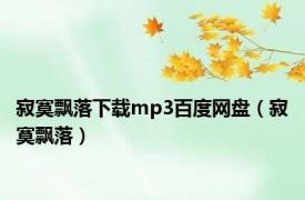 寂寞飘落下载mp3百度网盘（寂寞飘落）