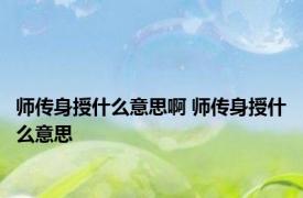 师传身授什么意思啊 师传身授什么意思