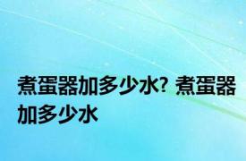 煮蛋器加多少水? 煮蛋器加多少水