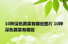 10种深色蔬菜有哪些图片 10种深色蔬菜有哪些