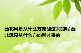 西北风是从什么方向刮过来的呢 西北风是从什么方向刮过来的